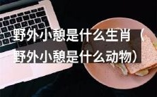 哪些生肖喜欢在野外小憩？