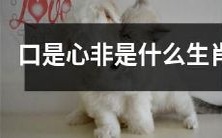 哪些生肖会以口是心非的方式表达自己的情感？