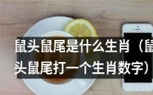 请问哪一个生肖的属相名称中包含了“鼠头鼠尾”这个词语？