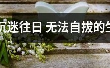 沉迷于回忆的无法自拔之生肖: 怎样走出往昔的阴影？