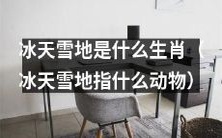 你知道哪些生肖是冰天雪地中的动物吗？