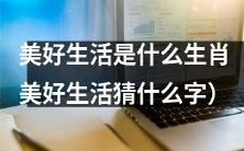 通过猜字游戏探索生肖和美好生活之间的关系