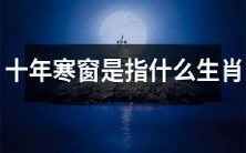 什么是指代“十年寒窗”的生肖？