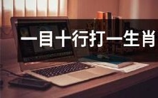 看一眼就能猜出生肖，再简单不过的小游戏