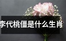 请问李代桃僵所属的生肖是什么？