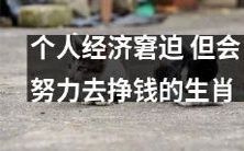 属相如何在个人财务困境中奋斗挣钱？