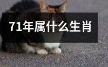 什么是在中国传统农历历法中，出生于1971年的人对应的生肖？