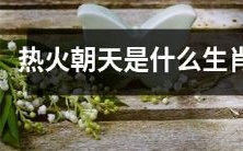 "热火朝天"这个词在十二生肖中对应的是哪个？