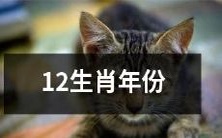 12生肖年份——每年都有不同的动物代表与独特意义！