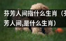 探究芬芳人间所代表的生肖是哪一个？