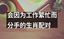 生肖配对：工作繁忙导致分手的可能性较高