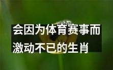 十二生肖中哪些会情绪激动地因体育比赛而狂欢不止？