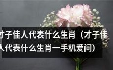 哪些生肖被视为才子佳人？