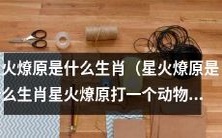 星火燎原是哪个生肖？揭秘星火燎原所代表的动物是什么