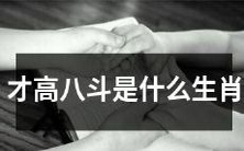 什么生肖被称为“才高八斗”？