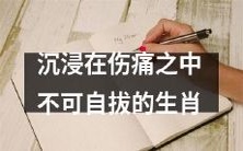 生肖困境：深陷伤痛中无法自拔的心路历程