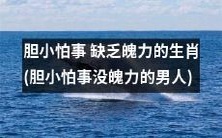 害怕失衡害怕风险 毫无胆识和决断力的十二生肖中的男性