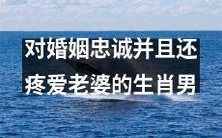 哪些生肖男性对婚姻忠诚坚定、对配偶充满疼爱与关怀呢？