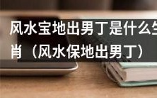 哪些生肖在风水宝地中更容易生育男孩？（What zodiac signs are more likely to produce baby boys in auspicious places of feng Shui?)