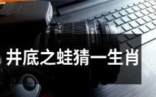 井底之蛙试图猜测指定的生肖，但他的视野受限且知识有限，将会面临极大的困境