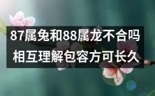 如何使87属兔和88属龙相互理解、宽容，从而建立长久的关系？