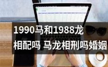 1990年出生的马和1988年出生的龙是否适合搭配婚姻关系？是否存在马龙相刑的情况？