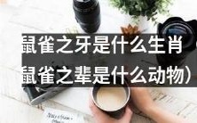 请问鼠雀之牙指的是哪种生肖？