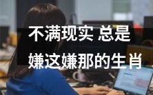 总是挑剔现实，抱怨不断的不满生肖们