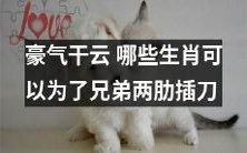 哪些生肖在兄弟情义之间能够豪气干云，毫不犹豫地舍身取义？