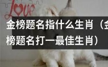 哪个生肖在金榜题名中获得最佳成绩？