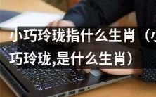 请问小巧玲珑是属于哪个生肖呢？