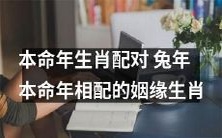 经典推荐：兔年本命年相配的姻缘生肖！一份涵盖12生肖的全面生肖配对指南！