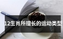 十二生肖各项获胜的运动类型——揭秘每个生肖的运动天赋