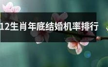 十二生肖婚姻幸福指数年末榜单：谁最有可能在今年结婚？
