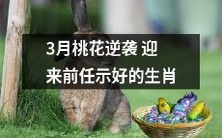 2021年3月桃花大旺，前任重现眼前示好的属相分享