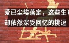 各种生肖经历爱情尘封，却陷入回忆漩涡无法自拔