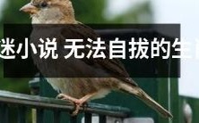 生肖沉迷小说成瘾如魔，摆脱难度高达10级！