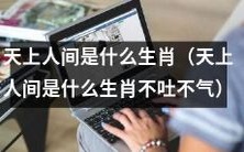 不容错过的终极问题：究竟是哪个生肖才是天上人间？