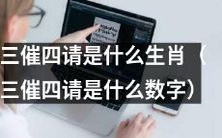 探究三催四请所对应的生肖或数字是什么？