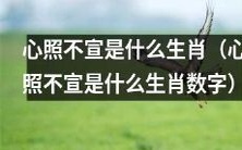 心照不宣的生肖是哪一个？