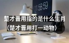 请问楚才晋所用的指代的是哪个生肖？