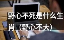 究竟是哪个生肖被称为“野心不死”？