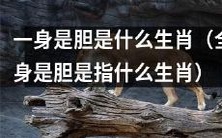 哪些生肖的人被称为“一身是胆”的？