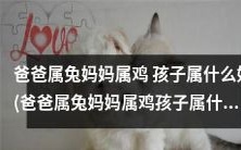 如果爸爸是兔子、妈妈是鸡，孩子应该属于什么生肖呢？