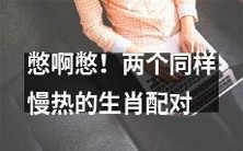 拖延症重度患者瞪大眼睛看过来！探究两只同样拖延症的生肖如何配对！