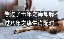 在经历了七年之痒的考验后，却发现无法避免八年之痛——探讨生肖配对的持久关系之路