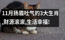 11月财源滚滚、生活幸福的三大生肖，他们将扬眉吐气！