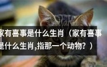 什么生肖被称为“家有喜事”的代表？