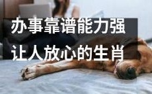 十二生肖中拥有办事靠谱能力强，让人放心的生肖推荐