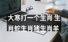 大寒节气中，你能猜出哪些生肖包括蛇、猪和羊？